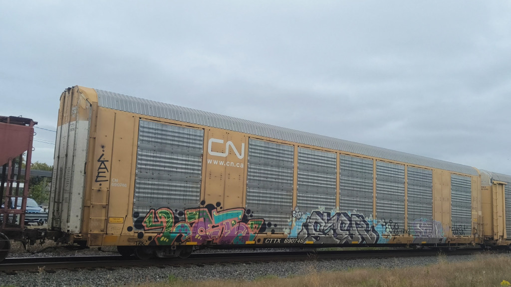 CN 690746 (Body) CTTX 690746 (Flat)